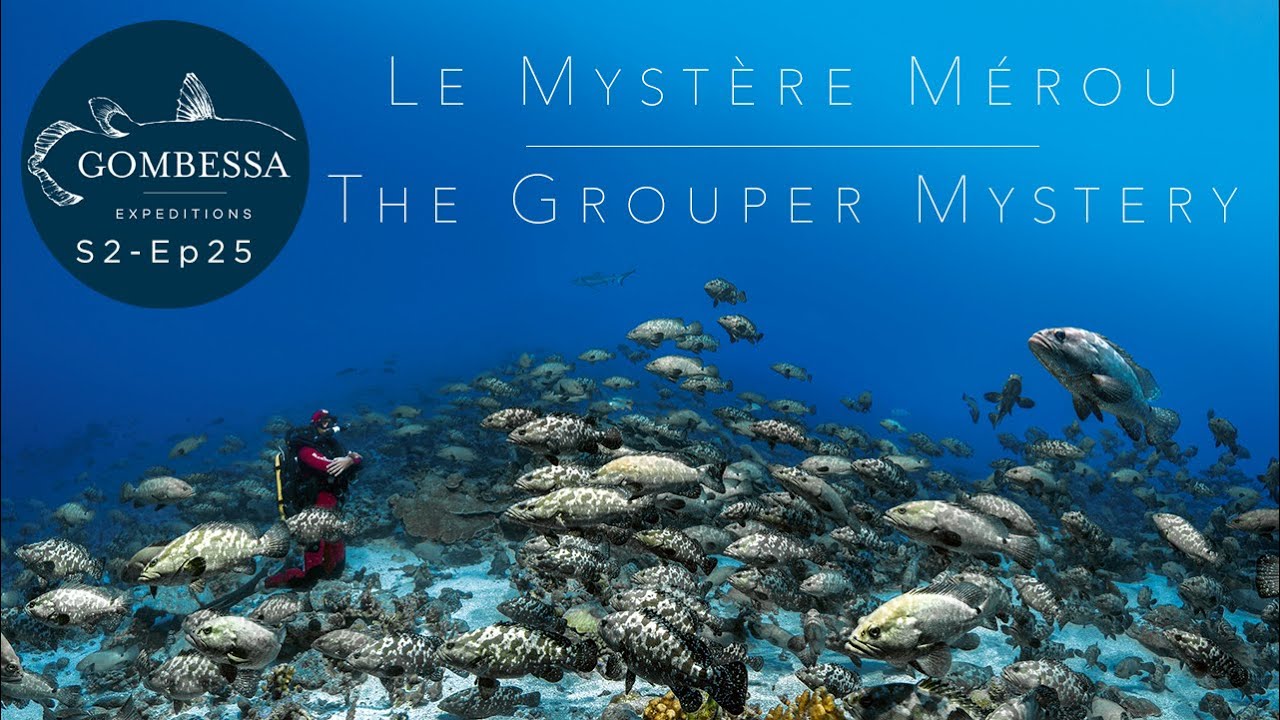 Gombessa II - Mystère Mérou - Ep25