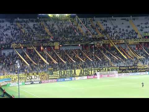 ""Amanecí con ganas de venir a verte" -Hinchada de Peñarol (vs Rampla)" Barra: Barra Amsterdam • Club: Peñarol