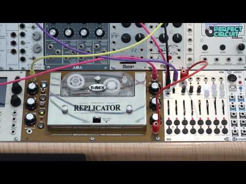 T-Rex Replicator Eurorack Tape Delay Demo