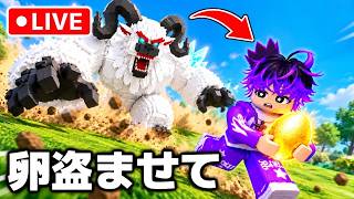 今流行りの卵を盗むで初めてのディバイン盗むよww【ロブロックス】