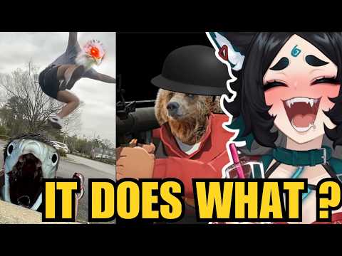 HOW These Animals CAN'T BE REAL  (More Parz React)