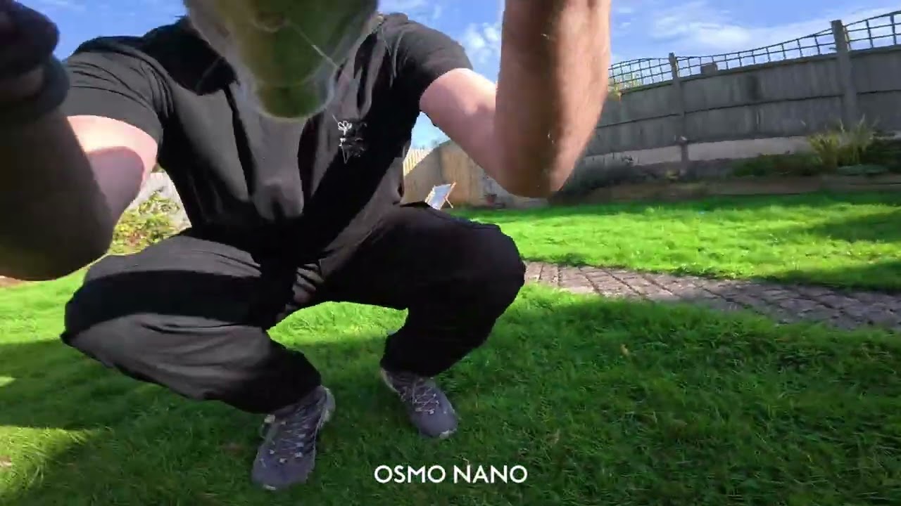DJI Osmo Nano — 4K @ 60fps (Dog stabilization test) - YouTube