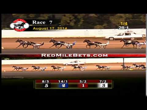Red Mile Racetrack Race 7 08-17-14