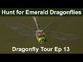 Dragonfly Tour Episode 13 Thursley Common For Emerald Dragonflies