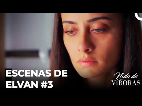 Escenas De Elvan #3 - Nido De Víboras