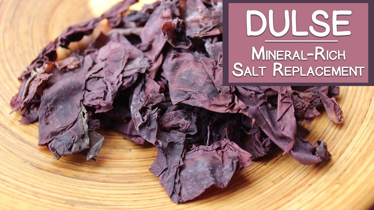 Dulse Seaweed, A Mineral-Rich Salt Replacement - YouTube