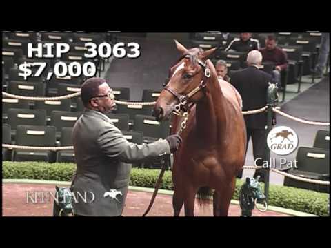 CALL PAT as a Keeneland September Yearling
