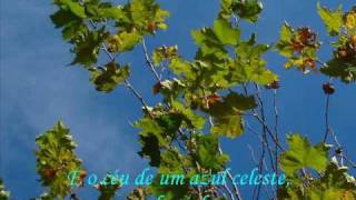 Trem das Cores Caetano Veloso