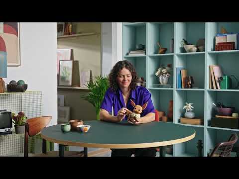 Vidéo LEGO Pokémon 72151 : Evoli