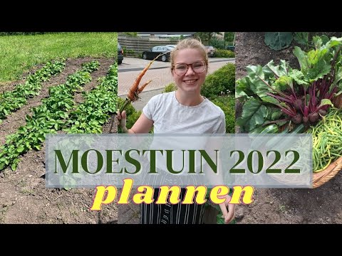 , title : 'MOESTUIN PLAN 2022 | hoe plan je een moestuin? | Groenten kweken in een groenten tuin'