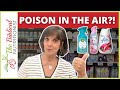 What's The Best Non Toxic Air Freshener? 12 Natural Freshener That Work!