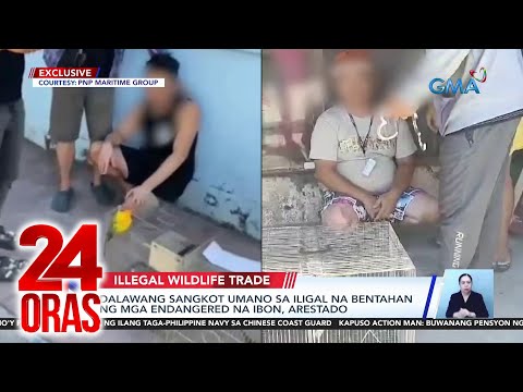 Dalawang sangkot umano sa ilegal na bentahan ng mga endangered na ibon, arestado 24 Oras