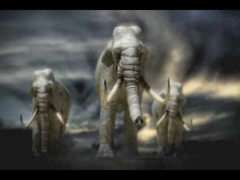 Journey to 10000 BC
