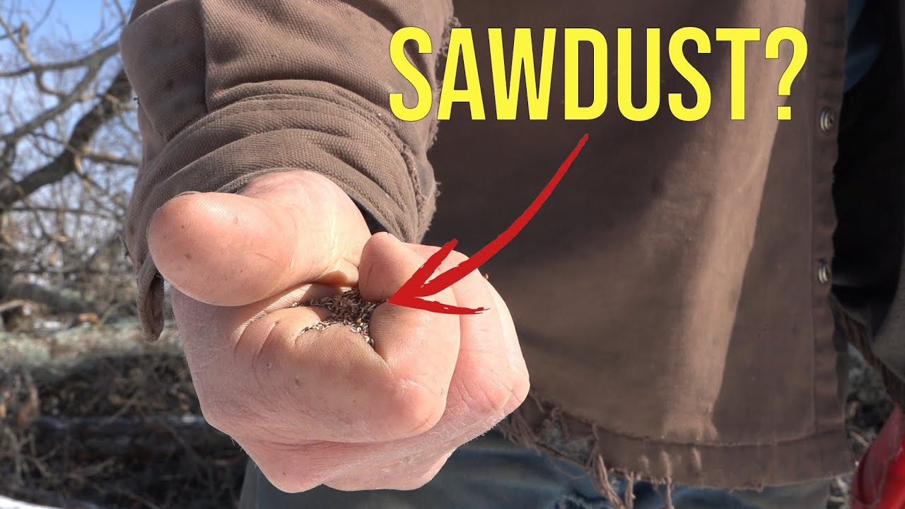 Can Native Plants be Seeded by Hand?