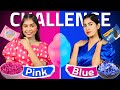PINK vs BLUE | 24 Hours Single Color Challenge | DIY Queen