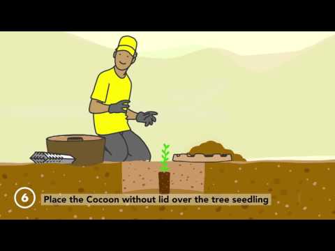 download lagu mp3 mp4 Land Life Company Cocoon For Sale, download lagu Land Life Company Cocoon For Sale gratis, unduh video klip Land Life Company Cocoon For Sale