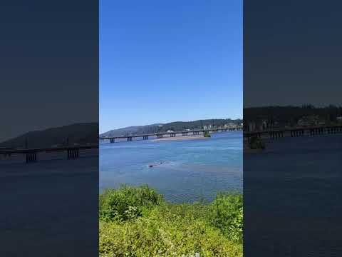Vecinos Bikers Concepción salida por la costanera del Río Bío Bío Concepción Chile 🇨🇱🚴🦅💪