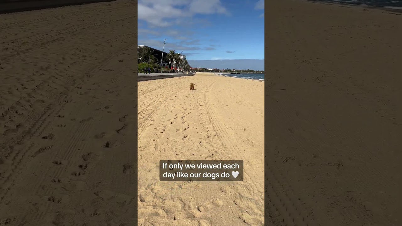 Everyday is a blessing