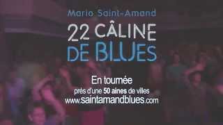 Mario Saint Amand - 22 Câline de Blues (2015)