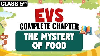 The Mystery Of Food  || Class 5th Evs || Complete Chapter || PW