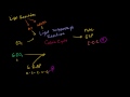 Calvin Cycle and Photorespiration Part 2 Video Tutorial
