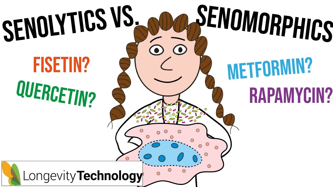 My ultimate guide to senotherapeutics (senolytics vs. senomorphics)