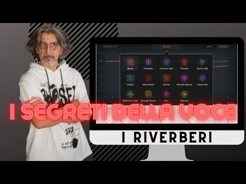 THE SECRETS OF THE VOICE - The Reverberations