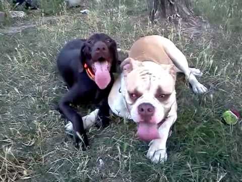 Lena and Bully 20120709