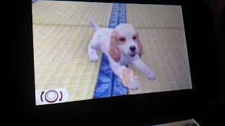 Getting a new dog on Nintendogs + Cats.