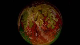 The Glass Cage with Lightshow-1st Cut-Unlisted