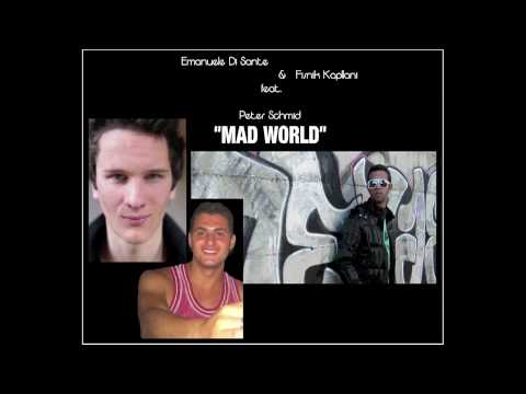 Emanuele Di Sante & Fisnik Kapllani feat. Peter Schmid - Mad World