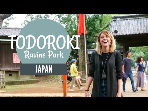 等々力渓谷公園//Escape City Life (ft. Kel Preston & Evil Cheesecake) (Todoroki Ravine Park// Escape City Life (ft. Kel Preston & Evil Cheesecake))