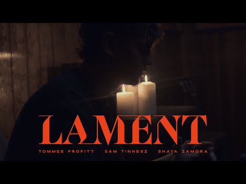 Tommee Profitt and Sam Tinnesz