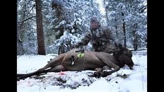 Montana elk hunt 12 yards with a Centaur longbow