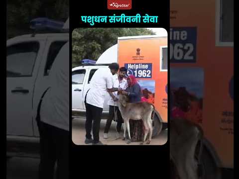 पशुधन संजीवनी सेवा – अॅम्ब्युलन्स थेट दारात!