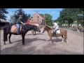 Ponyhof Georgenbruch Reitferien