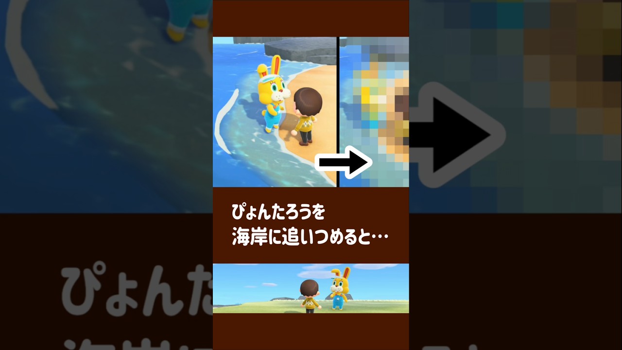 【あつ森】ぴょんたろうを海岸に追いつめると……【小ネタ】【あつまれ どうぶつの森】【イースター】#あつ森 #あつまれどうぶつの森 #イースター
