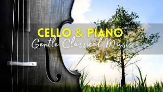 Morning Light – Gentle Classical Cello and Piano | Bach &amp; More