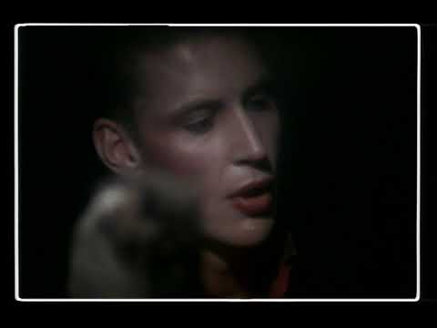 Sunnyboys - Love In A Box (Official Music Video)