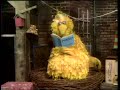 Classic Sesame Street Big Bird S Poem Koala Bear 1972