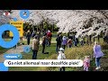 Drukte in de natuur, maar houdt iedereen genoeg afstand?