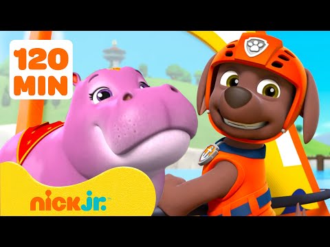 Patrulha Canina | Resgates e Aventuras Aquáticas do Zuma com a Patrulha Canina! | Nick Jr.