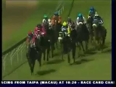 2011-12-23 Greyville - race 6