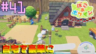 セキチクシティを再建しながら自宅を豪華に | ポケモン好きによるぽこポケをツッコミ多めの実況#41【ぽこ あ ポケモン】