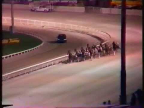 1983 Interdominions - Alexandra Park, Auckland - Pacers' Consolation 2: Hands Down