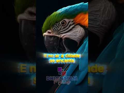 Homenagem a Cidade de Araguaçu-TO @dhionatammartins