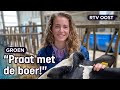 Boerendochter Anna (19) wil bedrijf van haar ouders overnemen | RTV Oost