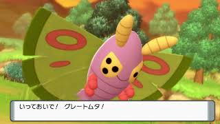 【虫タイプ縛り】虫だらけのポケモンシャイニングパール【その10】