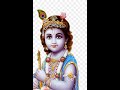 Krishna Jayanthi Celebration