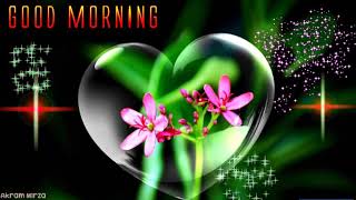 Happy Sunday Good Morning Wishes | Good Morning Whatsapp Status | Happy Sunday Whatsapp Video